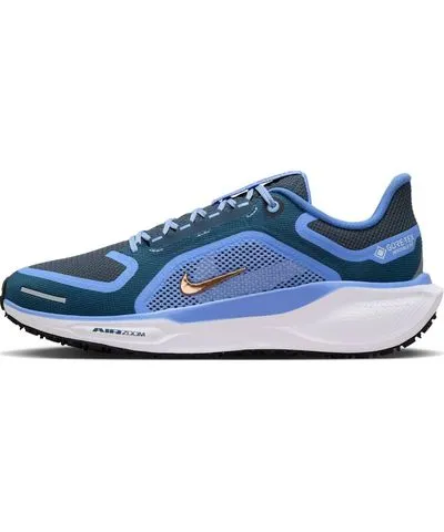 Nike Air Zoom Pegasus 41 Gore-Tex 'Cobalt Bliss Armory Navy'