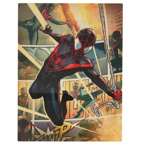 poster (metal) Spiderman - MARVEL - Poster Plate - RM017  -  Metal-shop