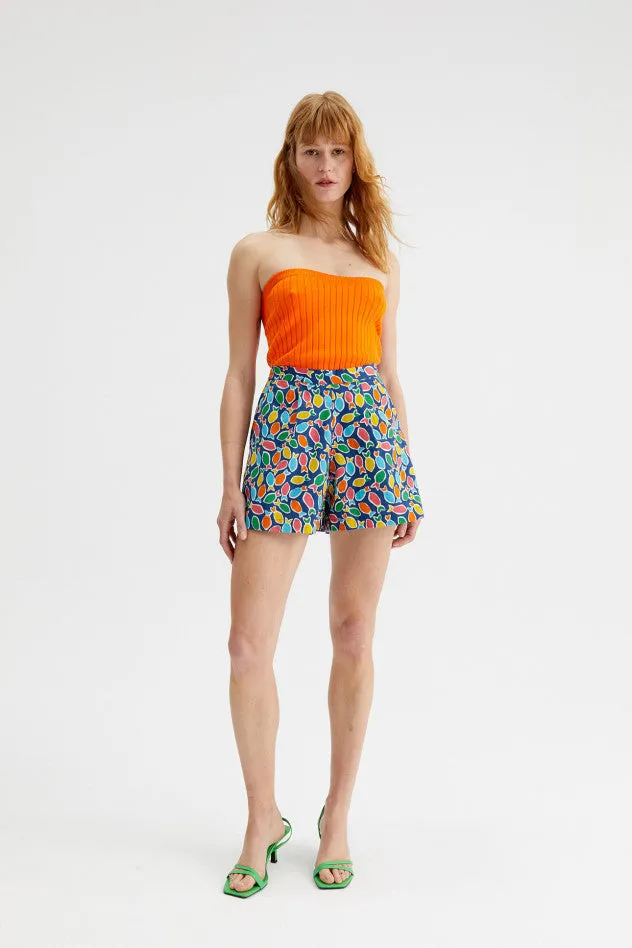 Rainbow Fish Shorts