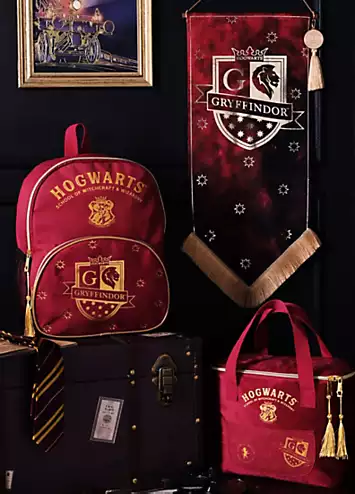 Warner Bros Harry Potter Alumni Backpack Gryffindor | Look Again